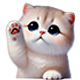 Catmaw